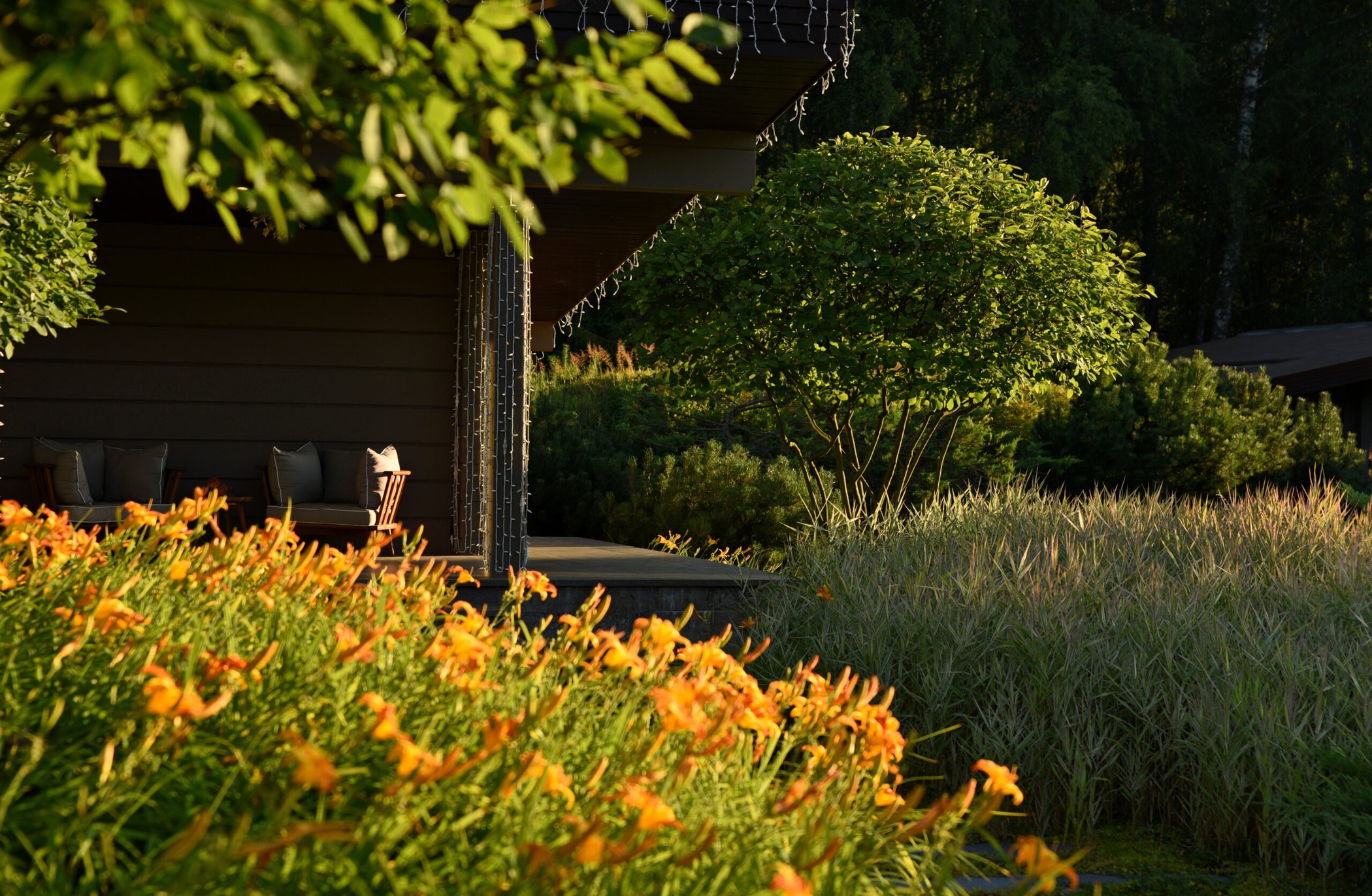 За тремя холмами: озеленение и растения — ландшафтная студия Derevo Park