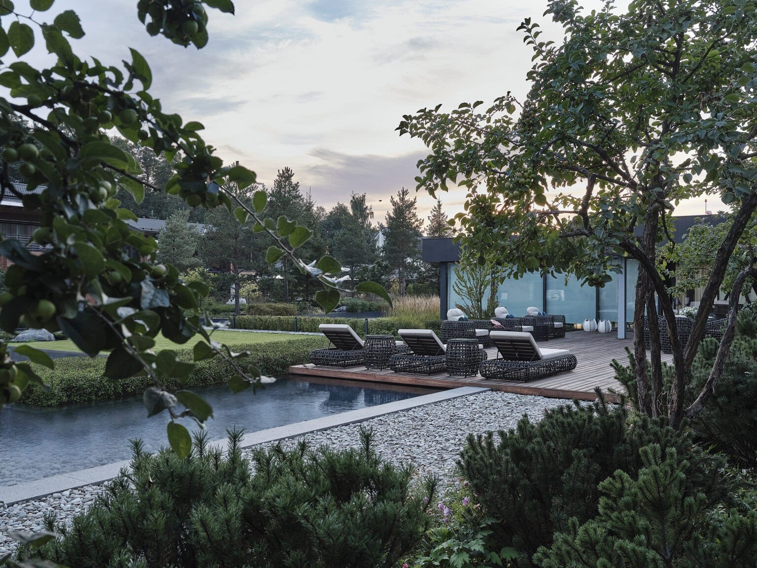 Таинственный лес: озеленение и растения — ландшафтная студия Derevo Park