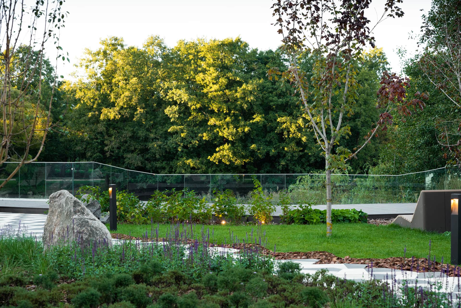 озеленение, деревья и газоны ЖК Берег — ландшафтная студия Derevo Park