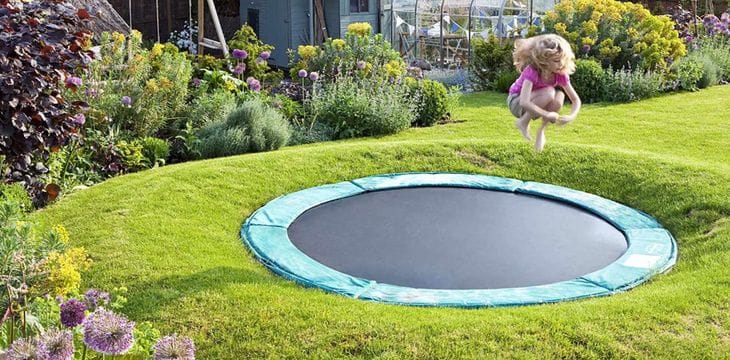 Иллюстрация услуги «Дендроплан участка» — ландшафтная студия Derevo Park