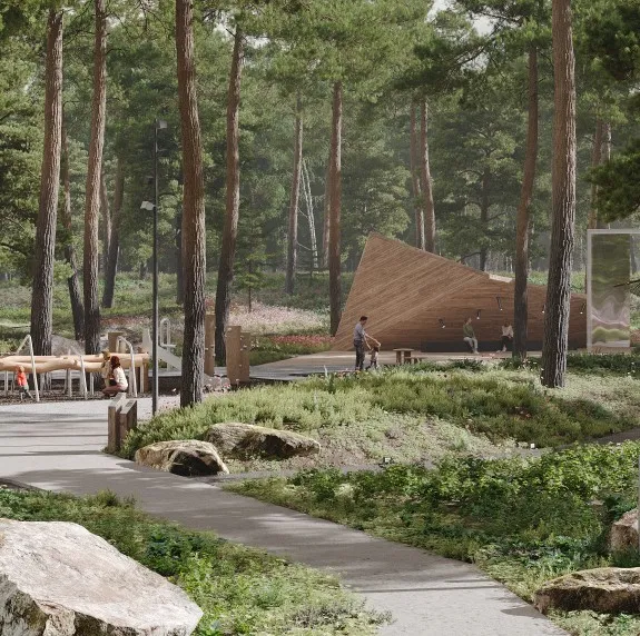 По сценарию леса: озеленение и растения — ландшафтная студия Derevo Park