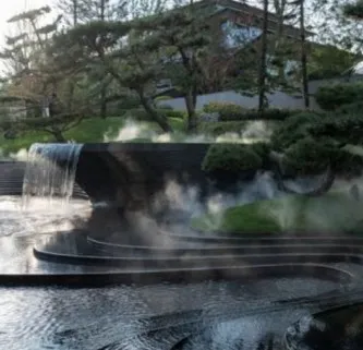 Темпо: озеленение и растения — ландшафтная студия Derevo Park